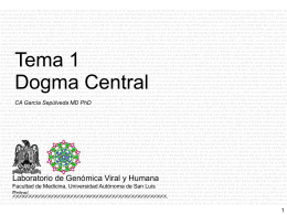 Cromosoma - Universidad Autónoma de San Luis Potosí