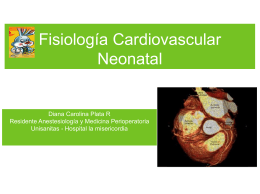 Fisiología Cardiovascular Neonatal Diana Carolina Plata R