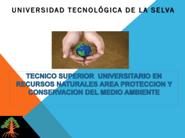 Conoce - Universidad Tecnológica de la Selva