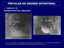 fstulas_de_origen_intestinal_copy9