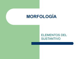 morfología