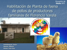 Habilitación de Planta de faena de pollos de productores familiares
