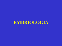 Esercitazione di Embriologia