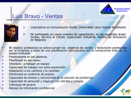 Consultores - Luis Bravo