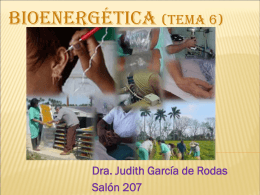 Dra. Judith García de Rodas Salón 207