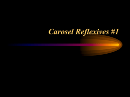 Carosel Reflexives #1