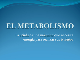 EL_METABOLISMO_CELULAR_-2015-