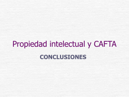 Propiedad intelectual y Cafta: conclusiones