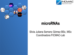 MicroRNAs