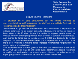 Taller Regional San Salvador Junio 2004 Protocolo de