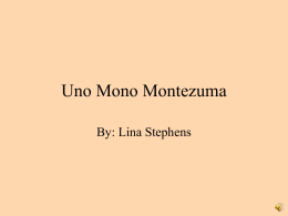Uno Mono Montezuma