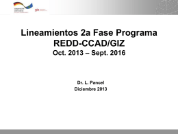 Bajar Archivo - Programa REDD/CCAD-GIZ