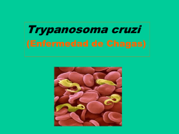Clase 2-Trypanosomiasis