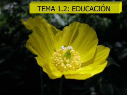 TEMA 2.1 EDUCACIÓN - teoriaseinstituciones