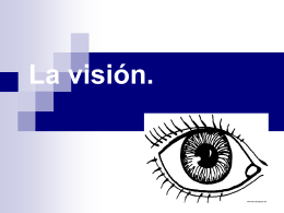 La visión (340480) - Educación diferencial PV