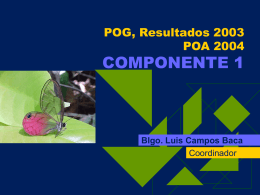 POG, Resultados 2003, POA 2004, COMPONENTE 1