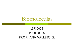 Biomoléculas LIPIDOs