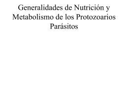 Generalidades de Nutrición y Metabolismo de los Protozoarios