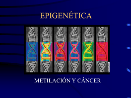 Méndez, Jesús. Epigenética: metilación y cáncer