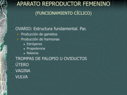 aparato reproductor femenino (funcionamiento cíclico)
