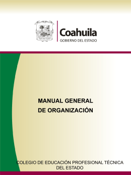 Manual de Organización Finanzas