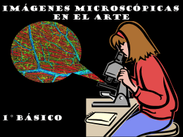 Imágenes Microscópicas