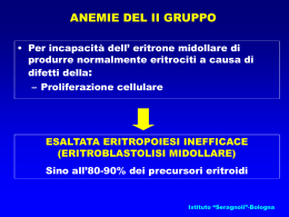 Anemia megaloblastica - Istituto di ematologia