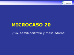 microcaso 20