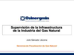 Supervisión de la Infraestructura de la Industria del Gas Natural