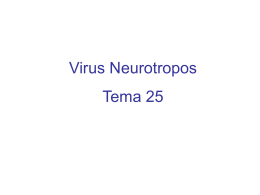 Virus Neurótropos