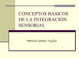 conceptos basicos de la integración sensorial