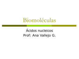Biomoléculas acidos nucleicos ulare 2006