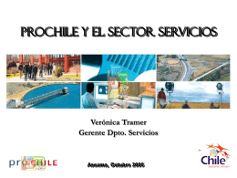 ProChile y el Sector Servicios