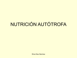 Nutrición Autótrofa - Educastur Hospedaje Web