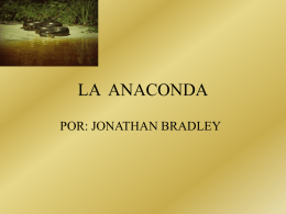 LA ANACONDA