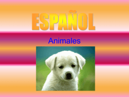 los animales por oliver y-6