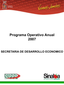 Programa Operativo Anual&nbsp - Portal de Acceso a la Información