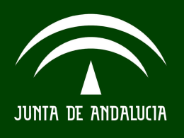 pruebas de diagnóstico: fases