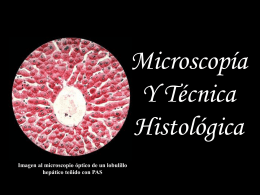 Microscopía Y Técnica Histológica