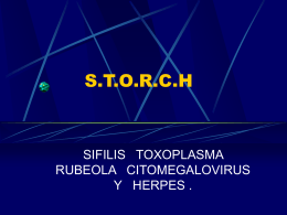storch - eTableros