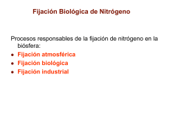 Fijacion Biologica de Nitrogeno.