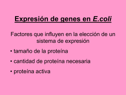 vectores expresion1