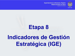 Indicadores de Gestión Estratégica (IGE)