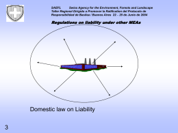 Regulations on liability under other MEAs