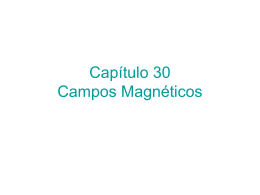 Capítulo 30 Campos Magnéticos