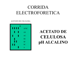 CORRIDA ELECTROFORETICA