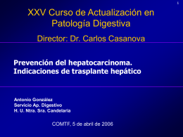 Prevención del hepatocarcinoma. Indicaciones de trasplante hepático