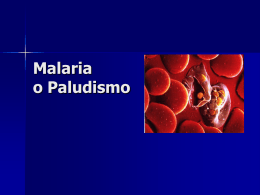 Paludismo - WordPress.com