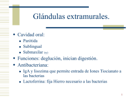 Glándulas extramurales.