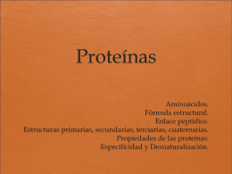 Proteínas - Blog de ESPOL